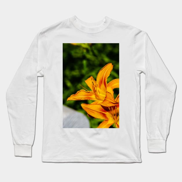 Looking to the Light Long Sleeve T-Shirt by srosu